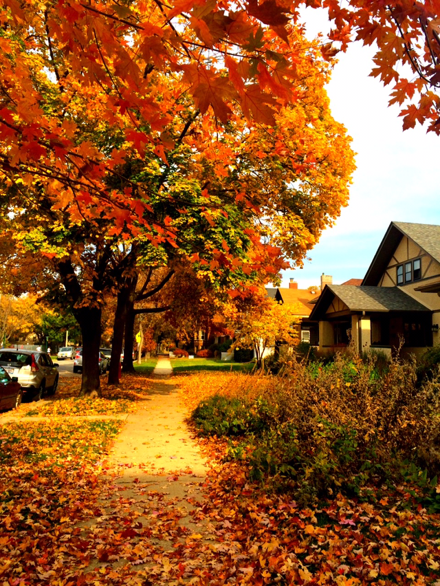 이민혜 Meenhye Lee