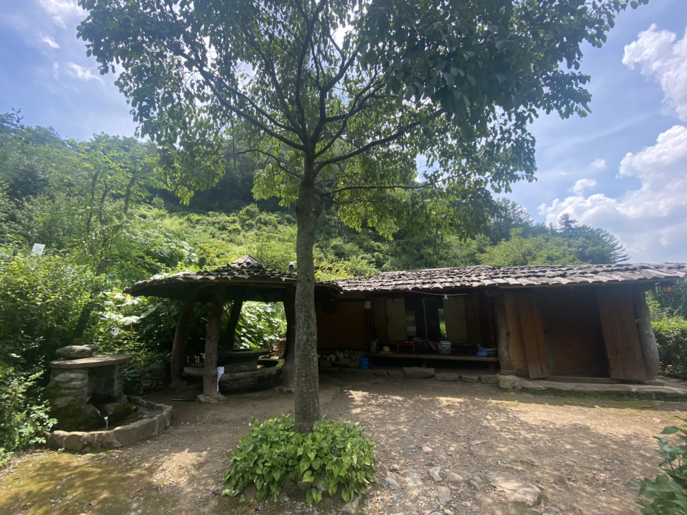 12화 Check in : 영월 산골초가 민박