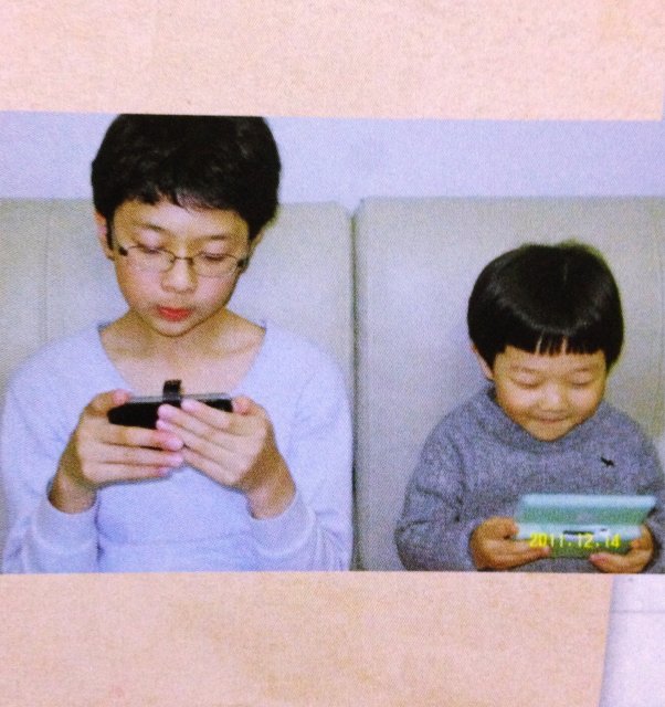 성유경시헌태하