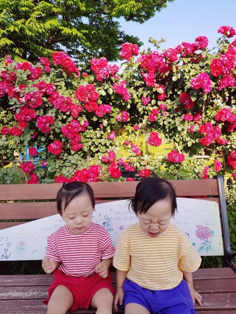 이충우