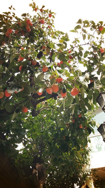 Jong 엽 제일 잘 나가