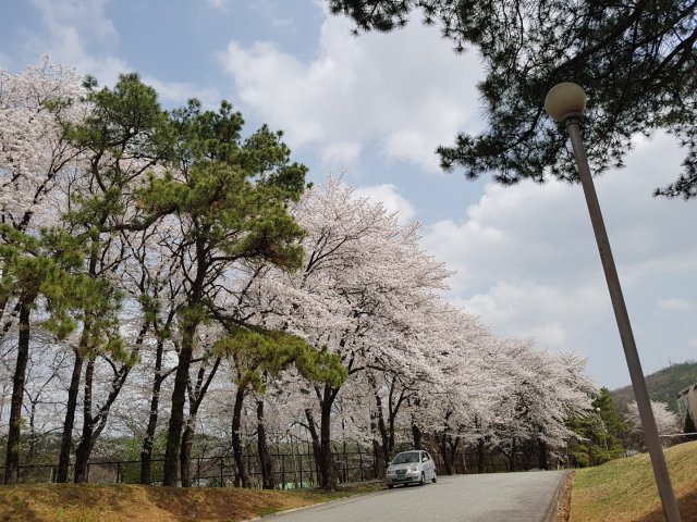 쏘쏘