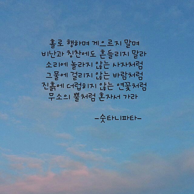 리더 도로시 선재