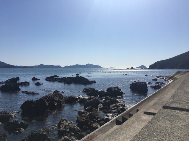 지희