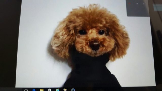 심서윤