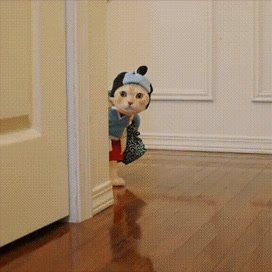 다만 조금 느릴 뿐