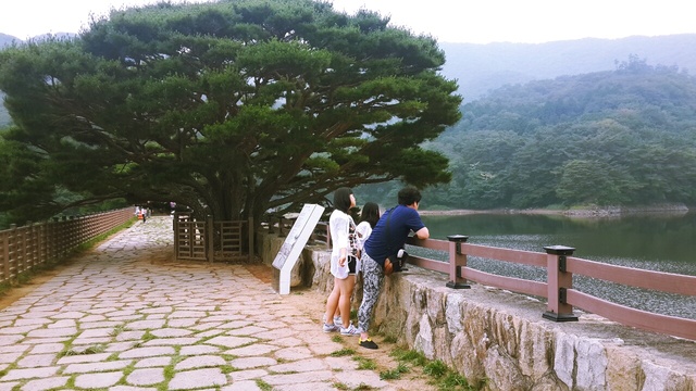 사랑 열정 위하여