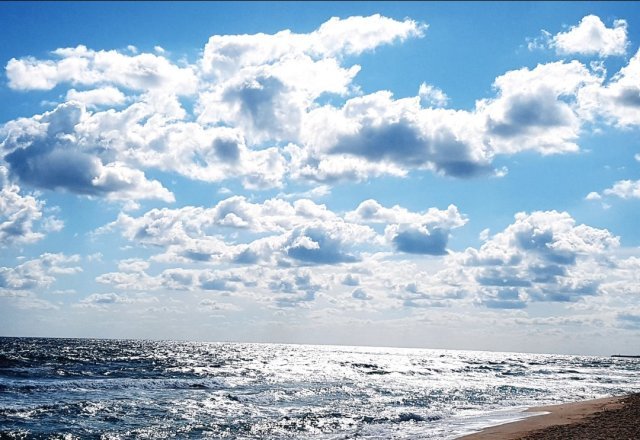 민서 지은 태현맘