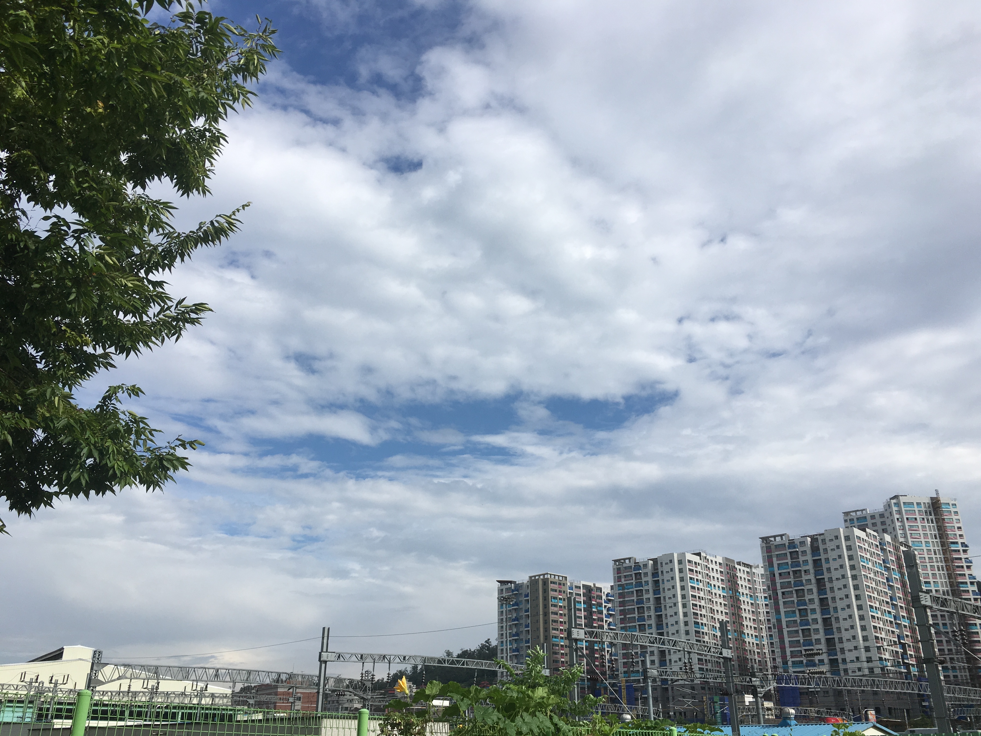 슬리데린 김연근