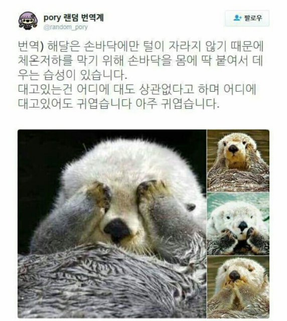 최보희