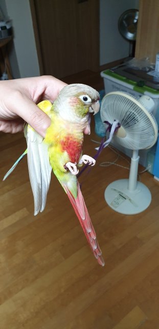 이준호 JUNHO the LeGeND