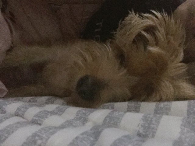 홀로여행 가보기