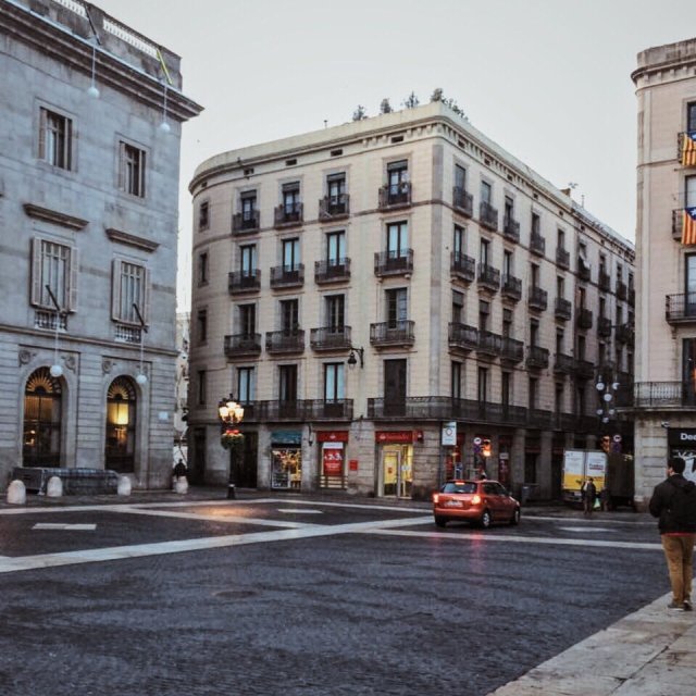 동물원탈출하기