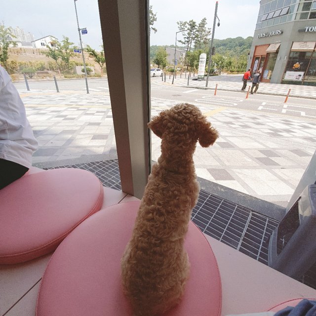 네이버연민지마켓