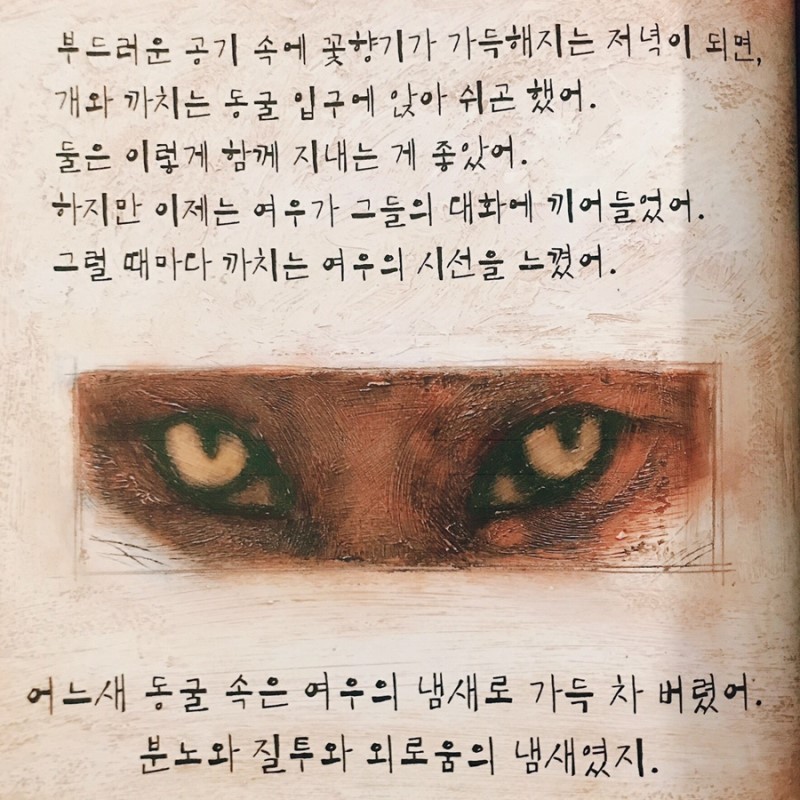 착한여우 이미지