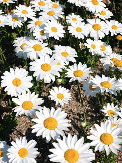 바람의열두방향