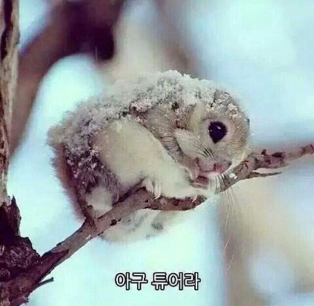 아빙빙