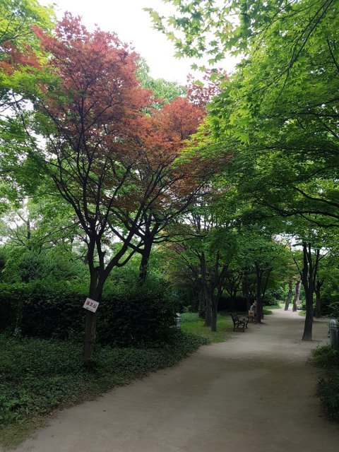 서혜련