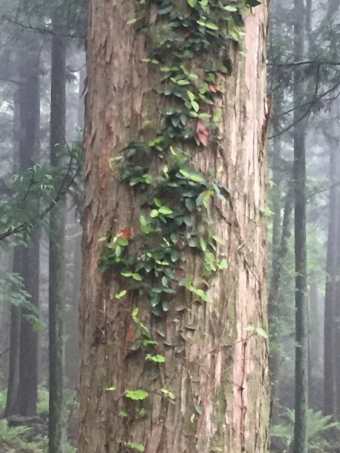 바람이 겁나게 분다