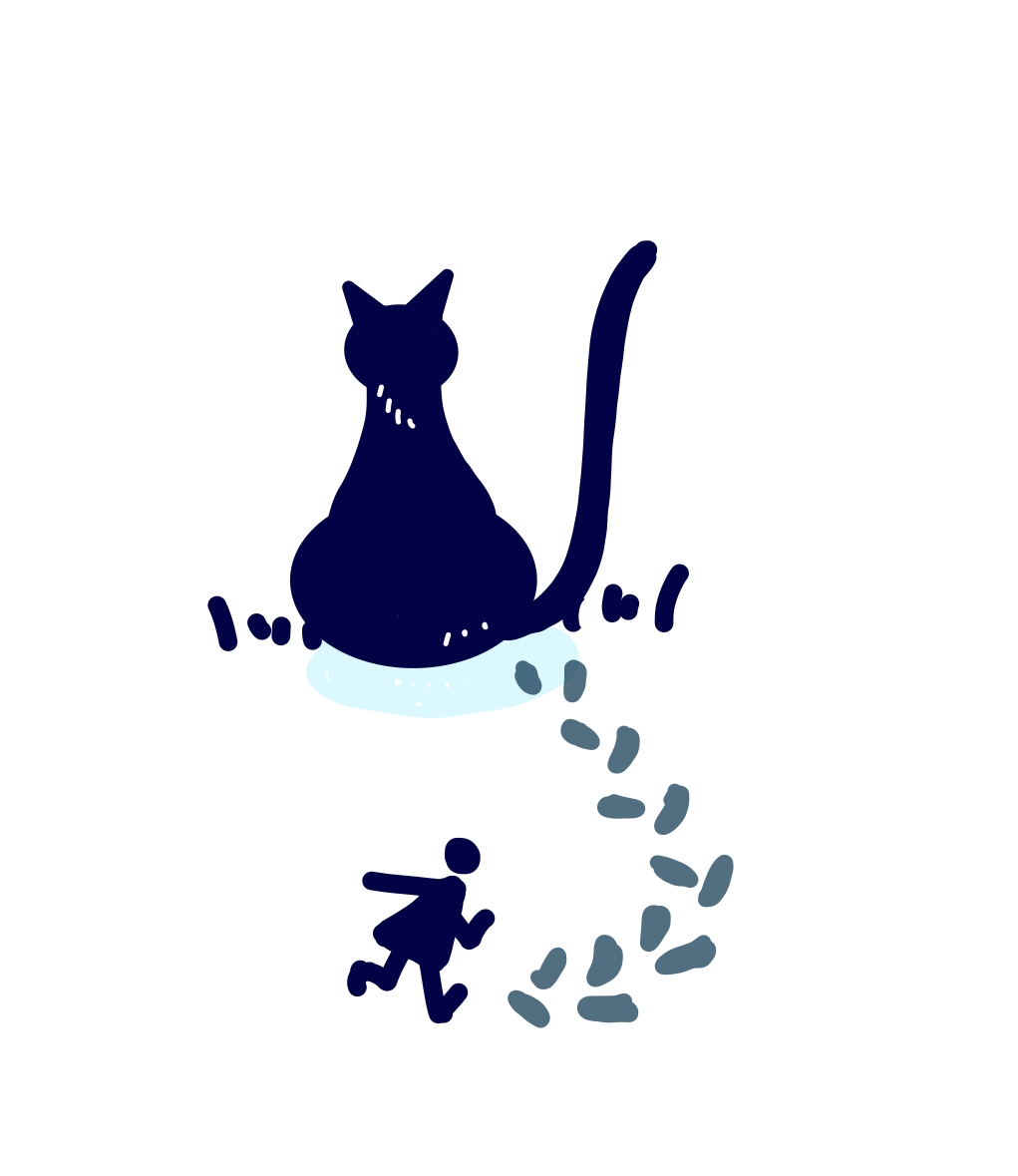 고양이 발자국을 따라