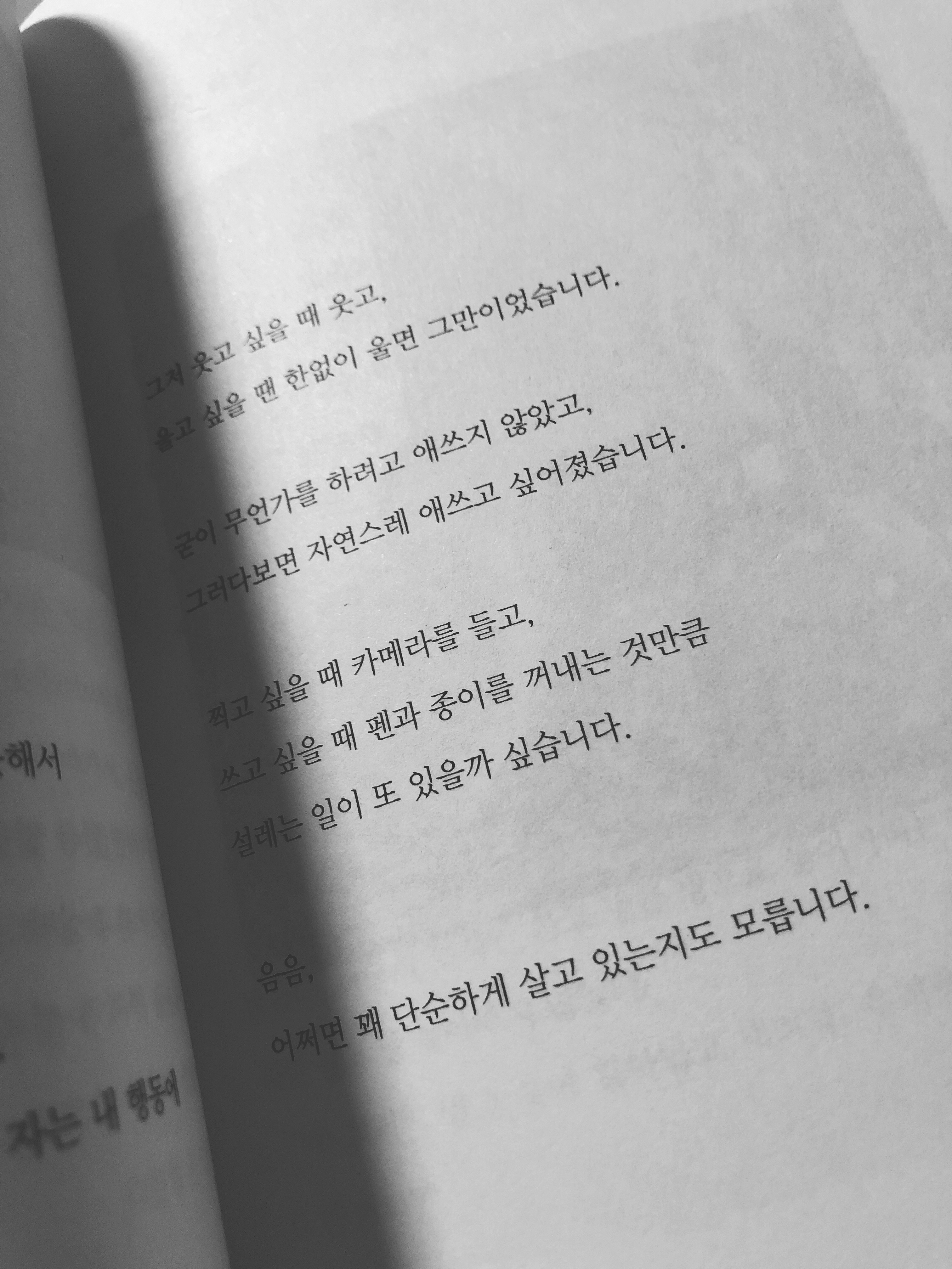 레몬자몽에이드