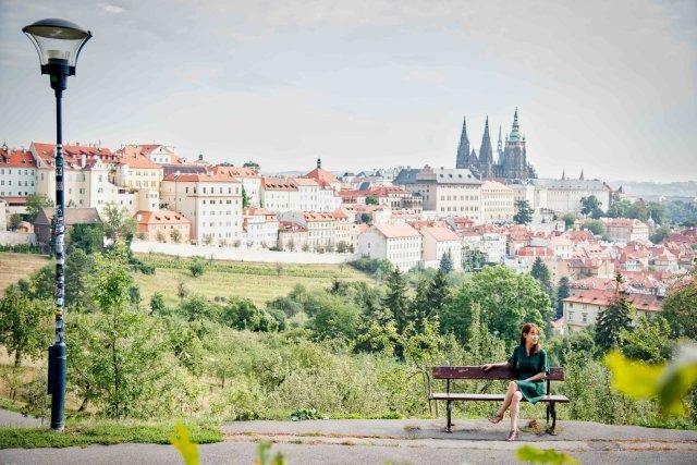 밤하늘에 반짝이는 북극곰