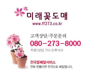 여행작가 진혜윤