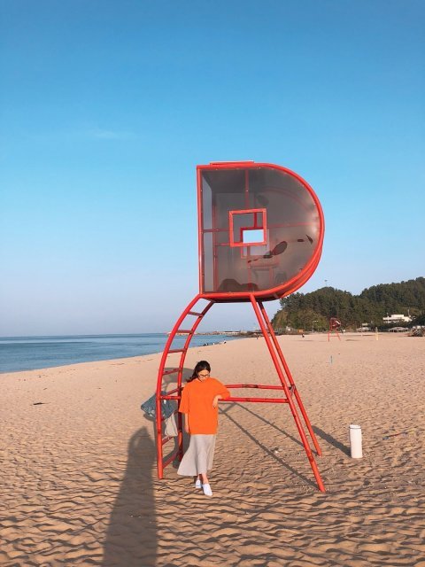 안은정