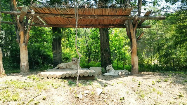 소담골부녀회장