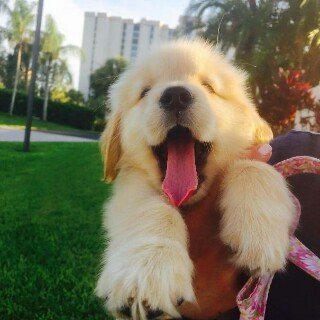 sunshine