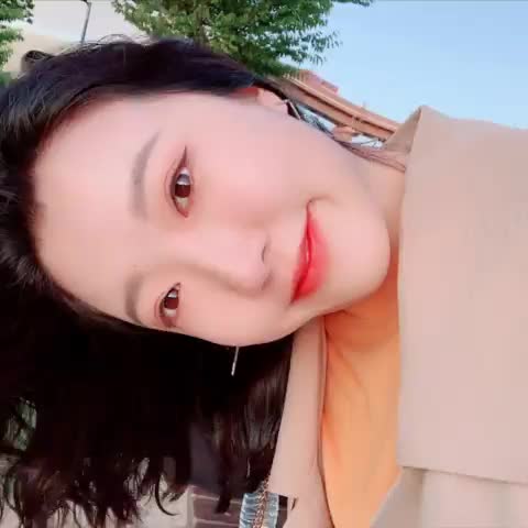 다애