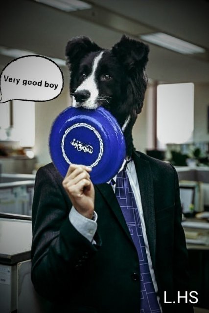 후리스비와 프리스비