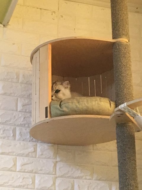 나는아직졸립다