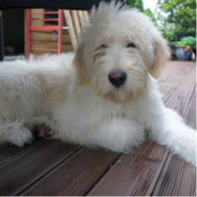 김훈식Hoonsik Kim