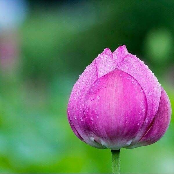 에프엠디자인sujung