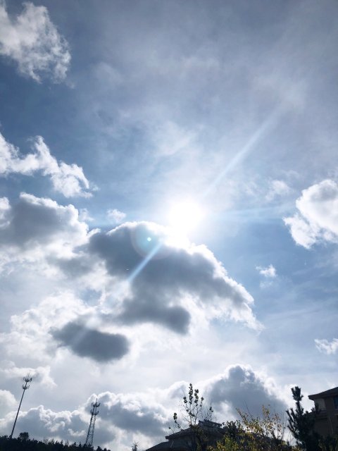 웨이하이김반장