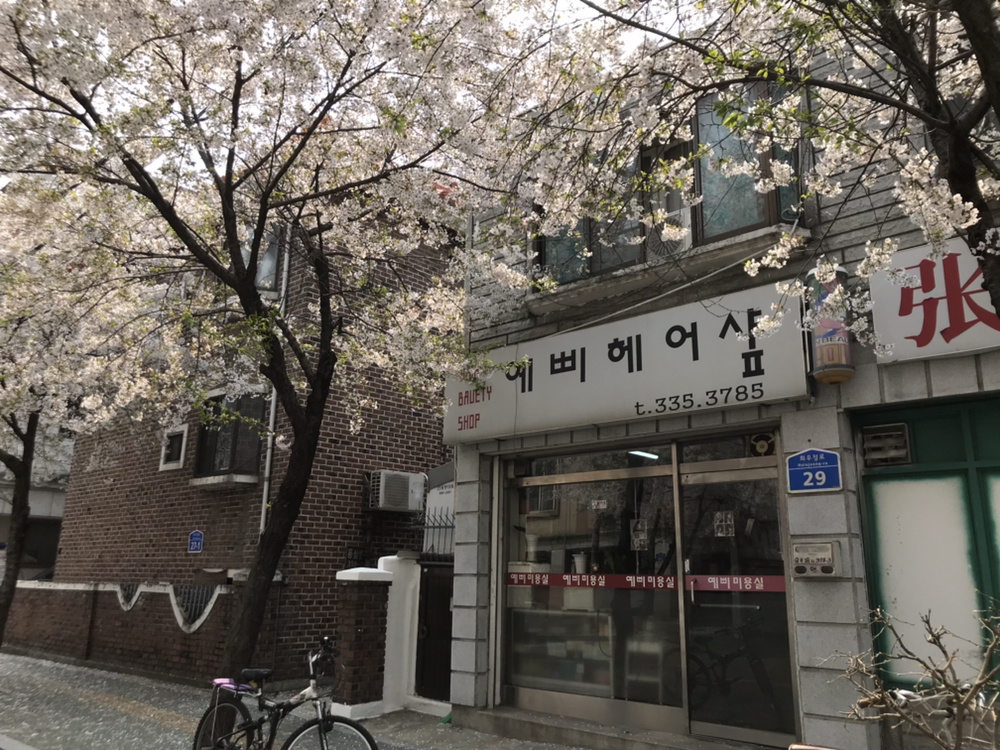 예삐미용실 이미지
