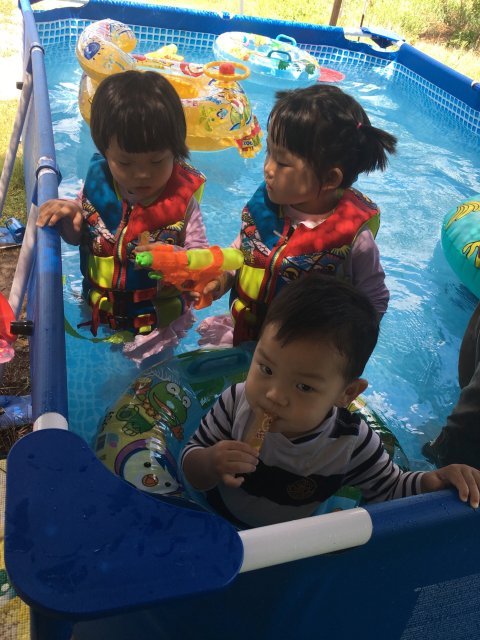 하늘을날수있는자유로움