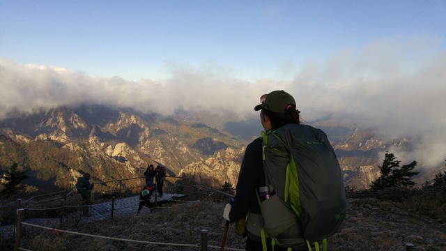 이욱희물푸레나무