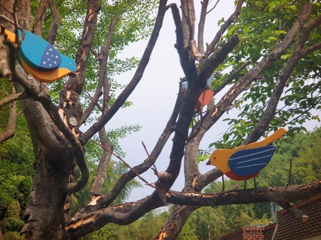 하늘나무이상희