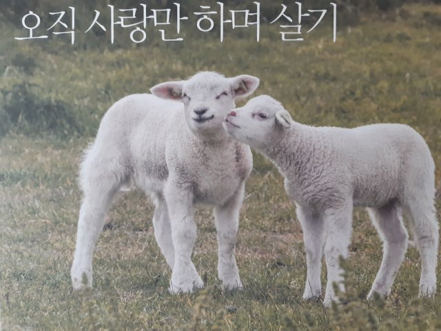임환식