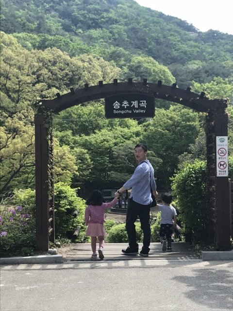 조영식