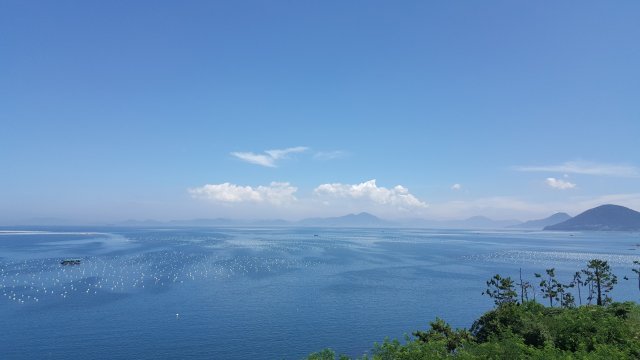 전정숙