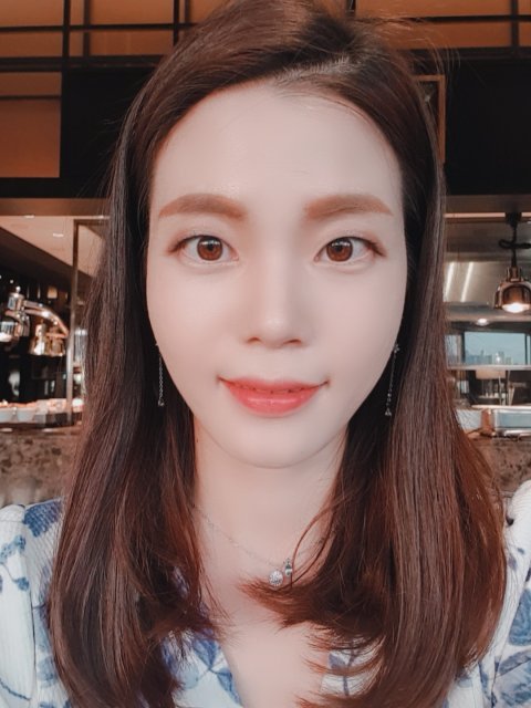 우아한쇠부엉이