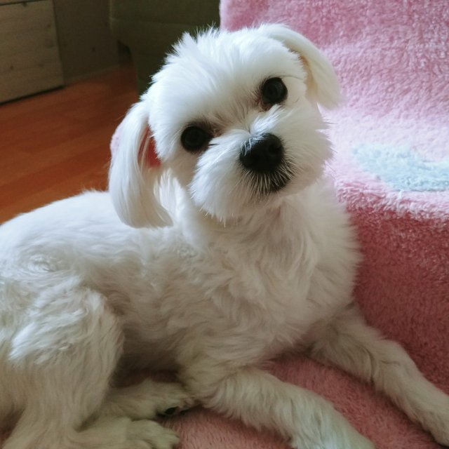 ㅁㅇ