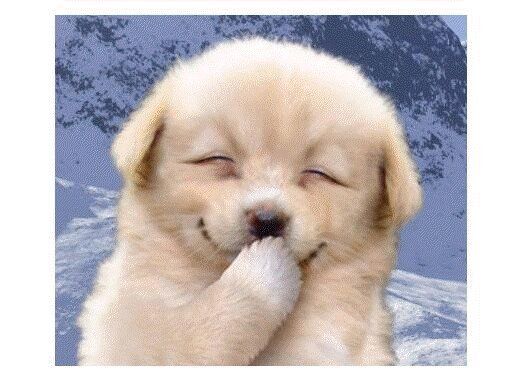 멋진뇨자 예승리