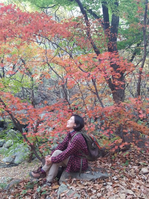 김 희 함박꽃