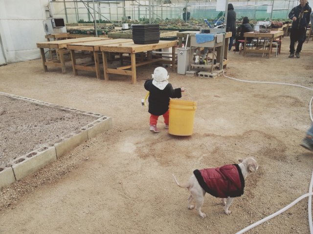 오케이플랜츠 안덕모