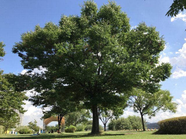 되고싶은게없는사람