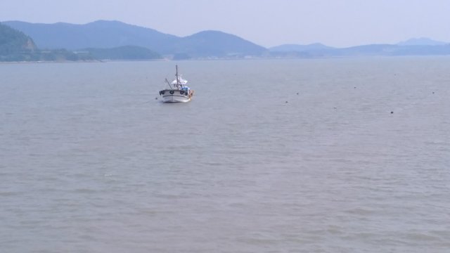 선광수